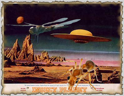 2179011124_531fbf74ba