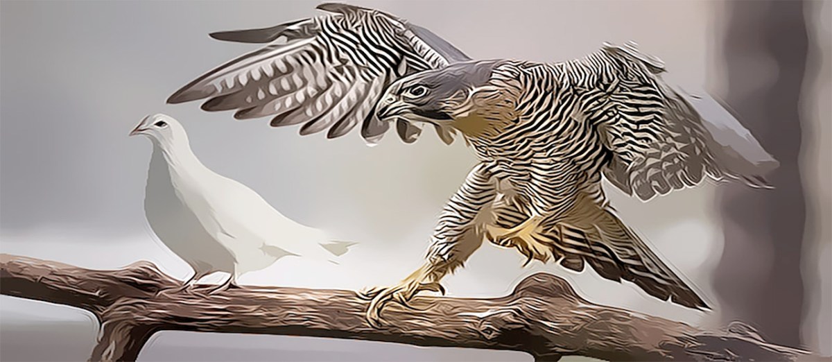 Syria and Leftwing&nbsp;Hasbara